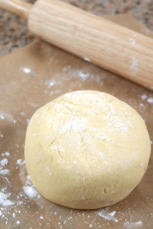 Paleo Multi-purpose Dough | This versatile dough is made with gluten free and paleo ingredients. Use it to make foods like pizza crusts, cinnamon rolls, and dumplings. | eatsomethingdelicious.com