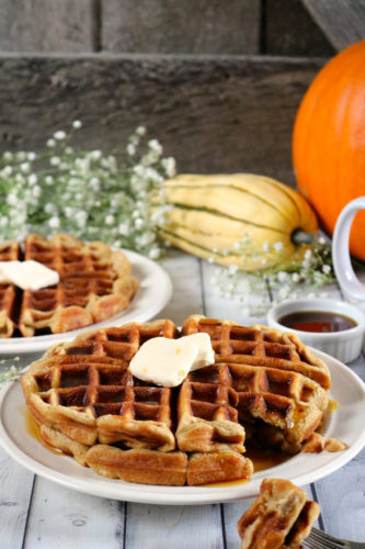 Delicata Squash Waffles | Gluten free, dairy free waffles made in a blender with delicata squash, pumpkin spice, and vanilla. Try substituting other winter sqashes. Paleo option. | eatsomethingdelicious.com